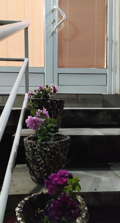 Apartman Todorovic ヤゴディナ エクステリア 写真